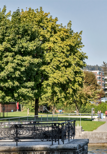 seehallen-horgen-areal